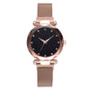 Top Brand Watches For Women Rose Gold Mesh Magnet Buckle Starry