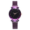 Top Brand Watches For Women Rose Gold Mesh Magnet Buckle Starry